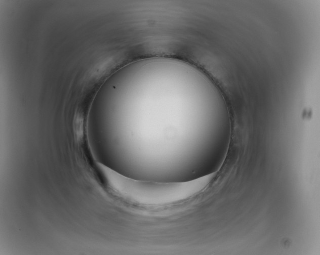 X0000096700021200802051422