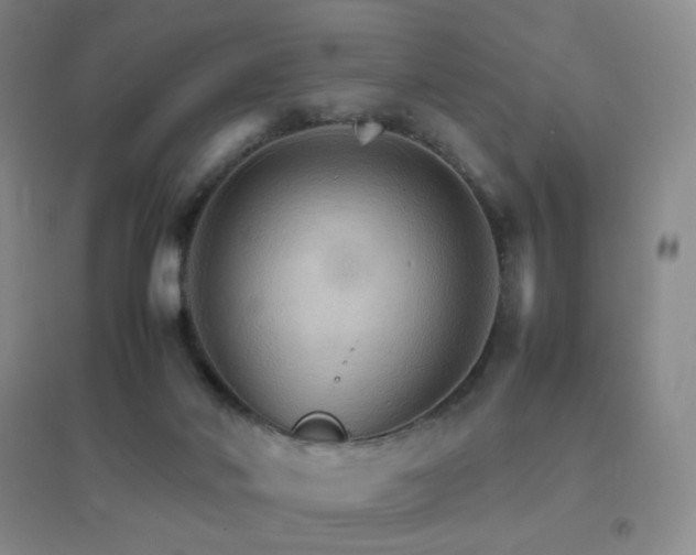 X0000096700022200802051422