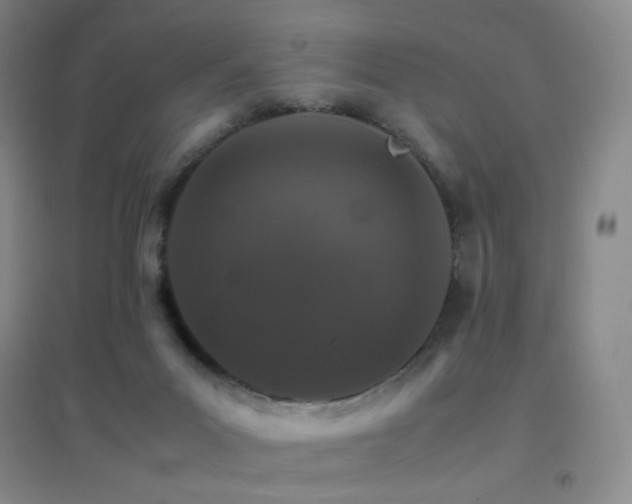 X0000096700023200802051421
