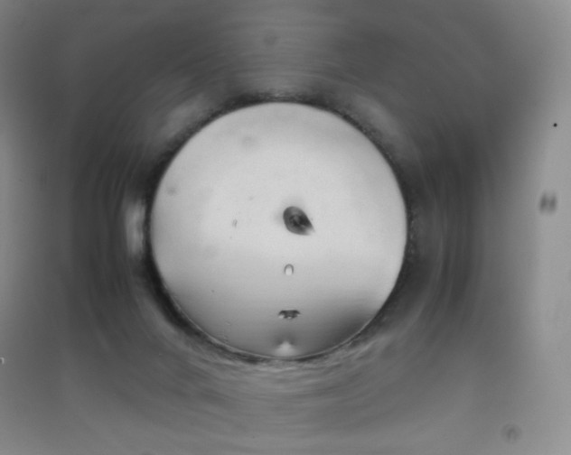 X0000096700024200802051421