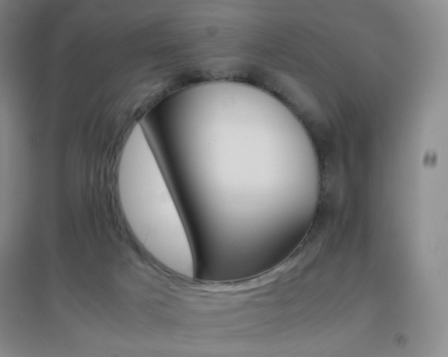 X0000096700025200802051421