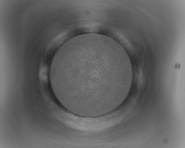X0000096700026200802051421