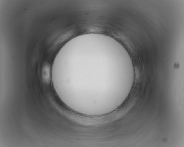X0000096700028200802051421
