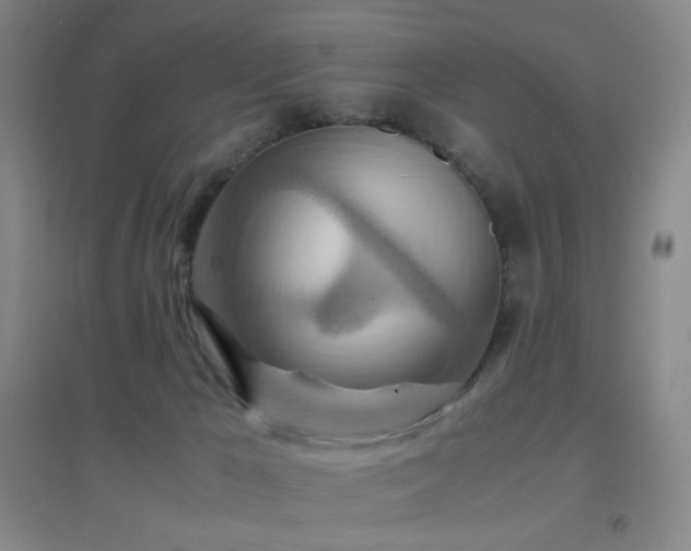 X0000096700029200802051421