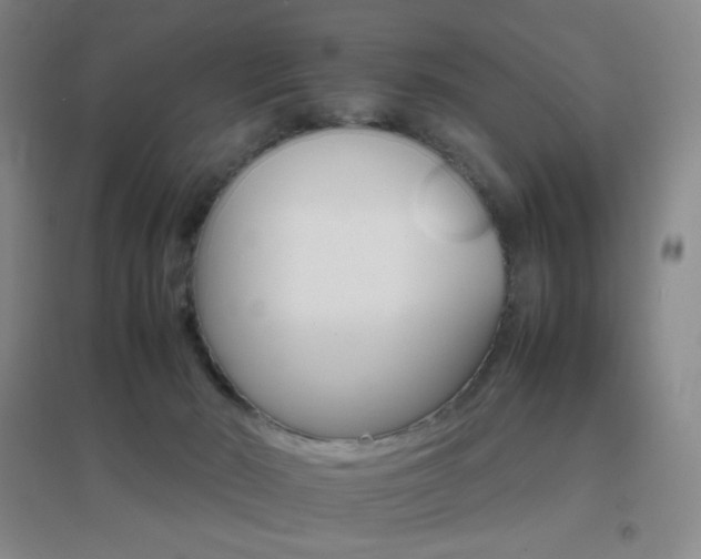 X0000096700030200802051421