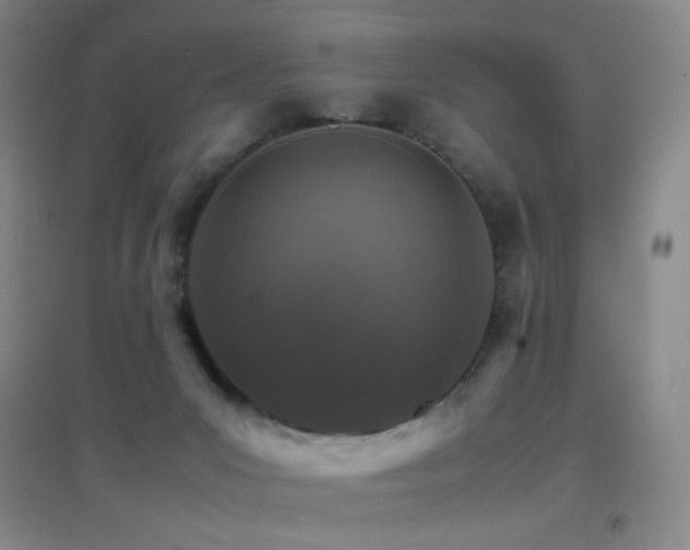 X0000096700031200802051421