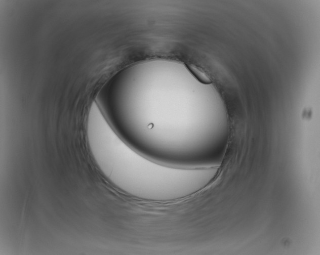 X0000096700033200802051421