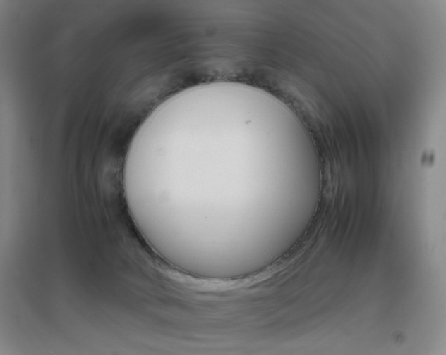 X0000096700034200802051421