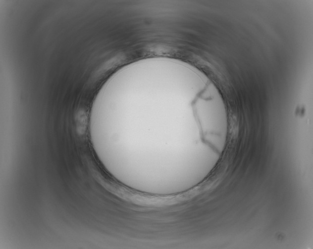 X0000096700036200802051421