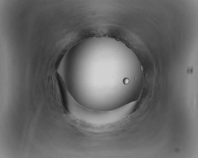 X0000096700037200802051421