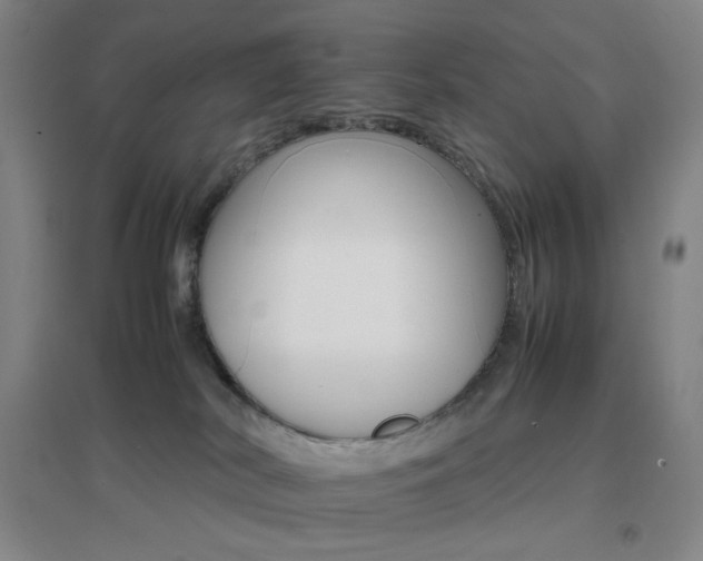 X0000096700038200802051421