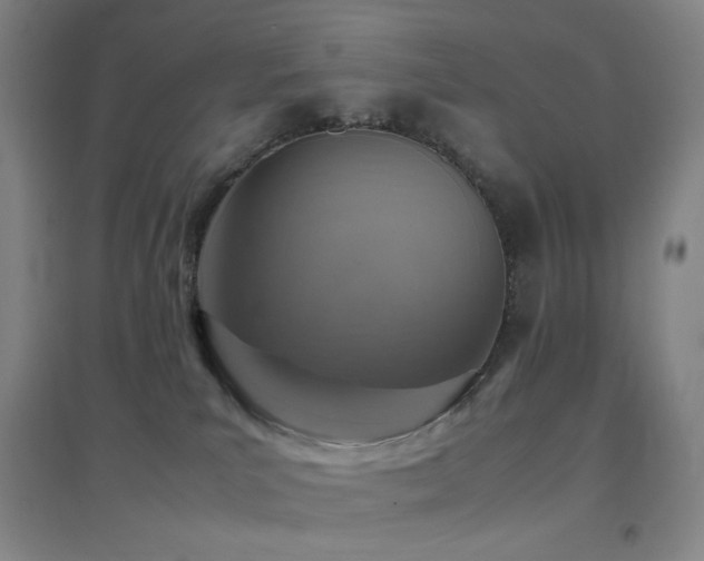 X0000096700039200802051421