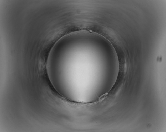 X0000096700040200802051421