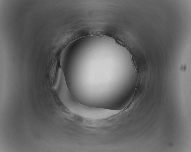 X0000096700041200802051421