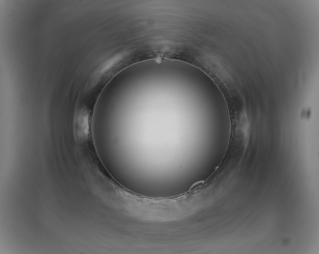 X0000096700042200802051421