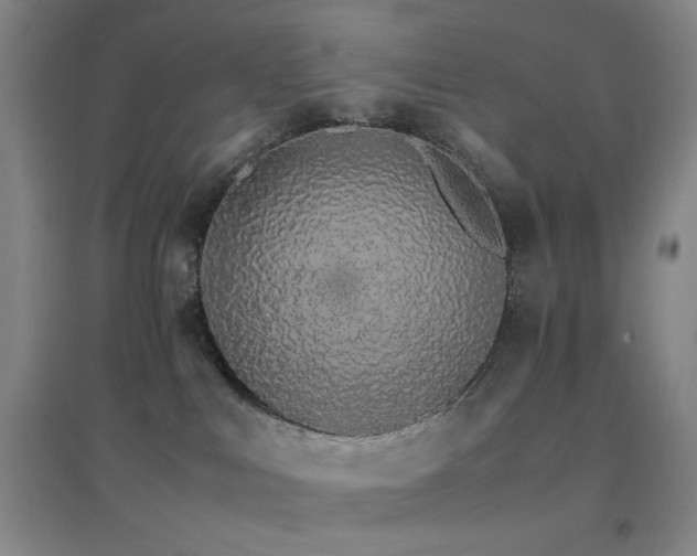 X0000096700043200802051421