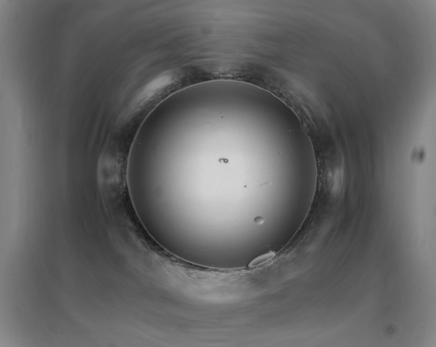 X0000096700044200802051421