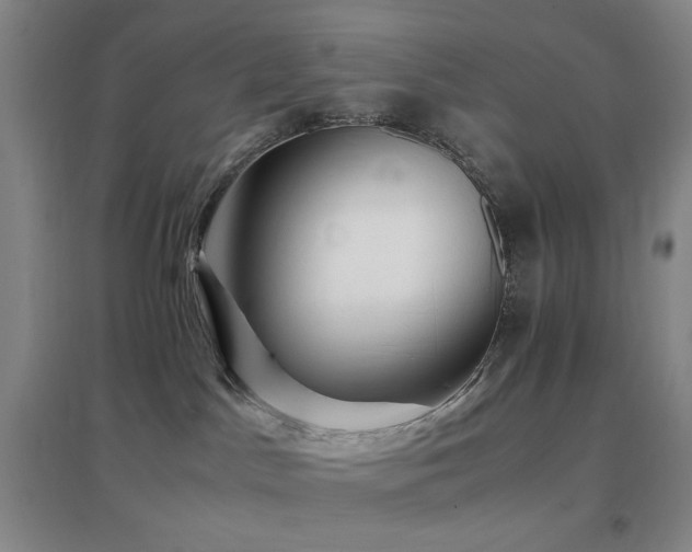 X0000096700045200802051421