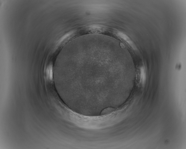 X0000096700046200802051421