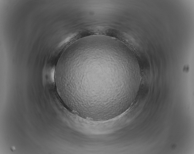 X0000096700047200802051421