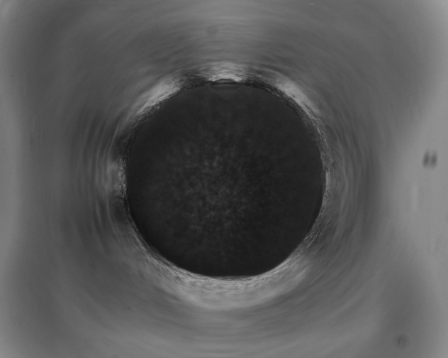 X0000096700048200802051421