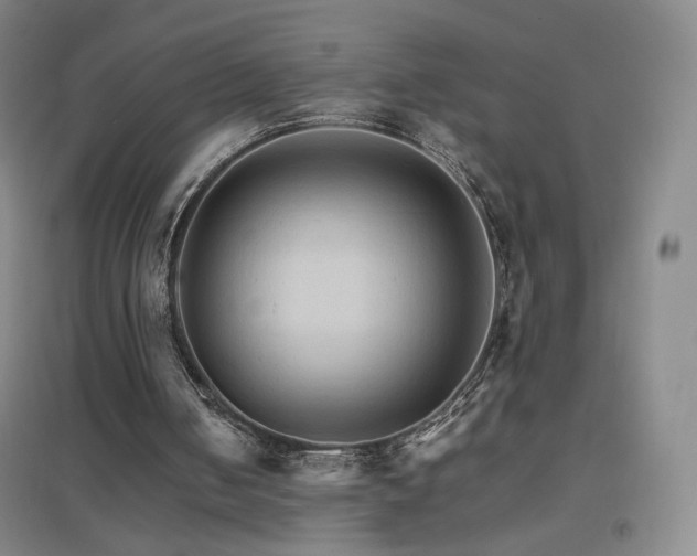 X0000096700050200802051420