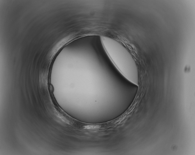 X0000096700051200802051421