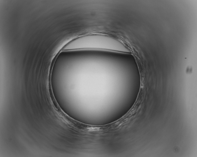 X0000096700052200802051421