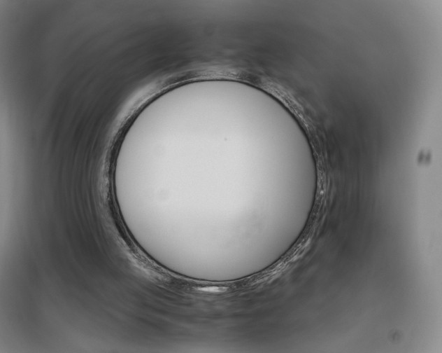 X0000096700053200802051421