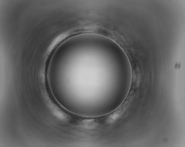 X0000096700054200802051421