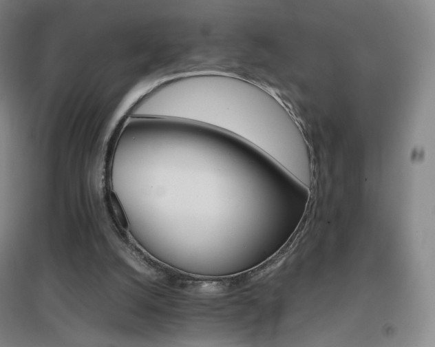 X0000096700056200802051421