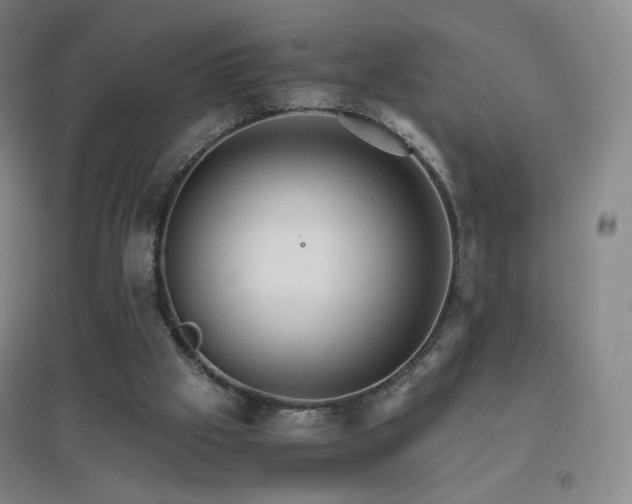X0000096700057200802051421