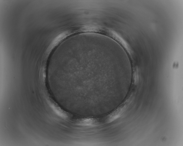 X0000096700059200802051421