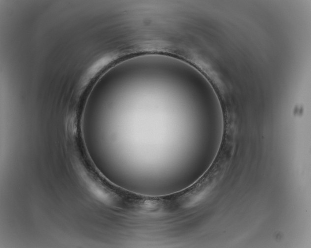 X0000096700060200802051421
