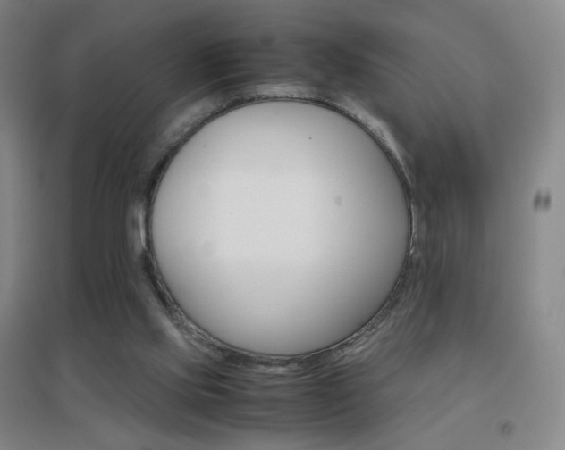 X0000096700061200802051421