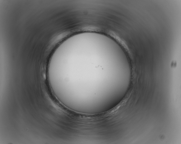 X0000096700062200802051421