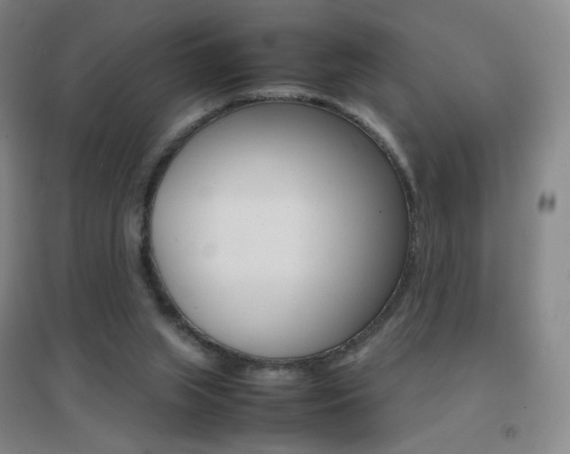X0000096700063200802051421