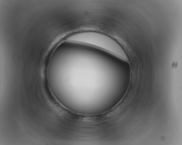 X0000096700064200802051421
