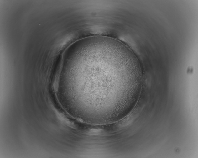 X0000096700066200802051421
