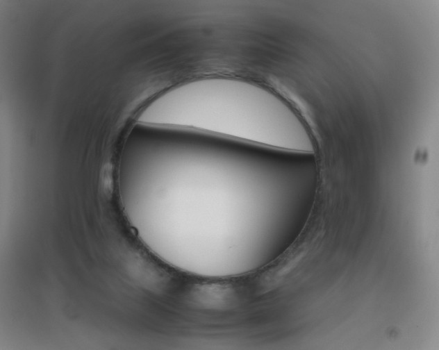 X0000096700067200802051421