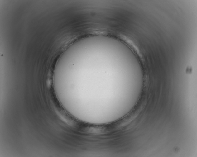 X0000096700069200802051421