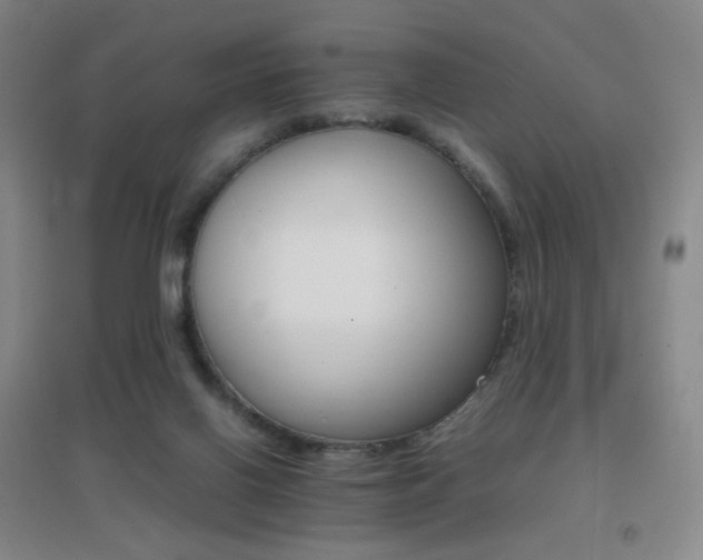 X0000096700070200802051421
