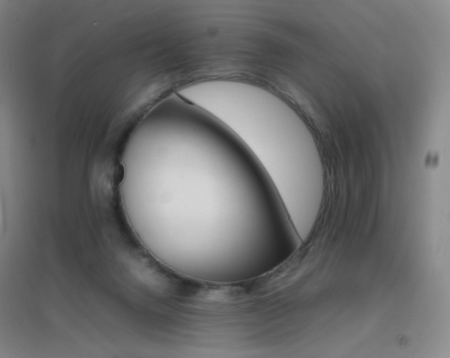 X0000096700072200802051421