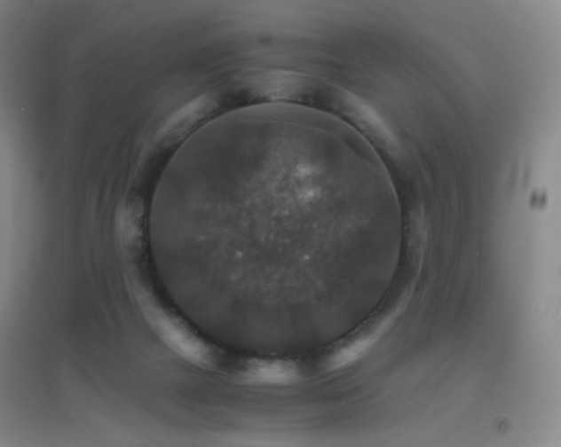 X0000096700073200802051421