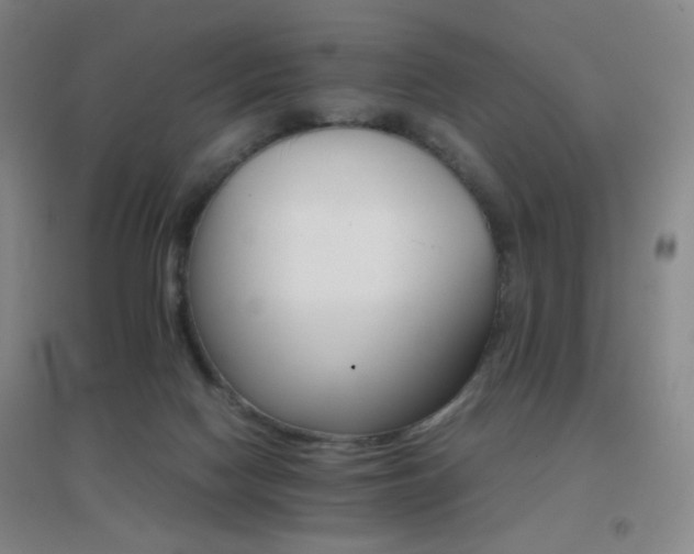X0000096700074200802051421