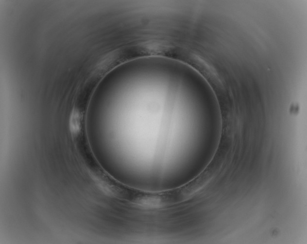 X0000096700075200802051421