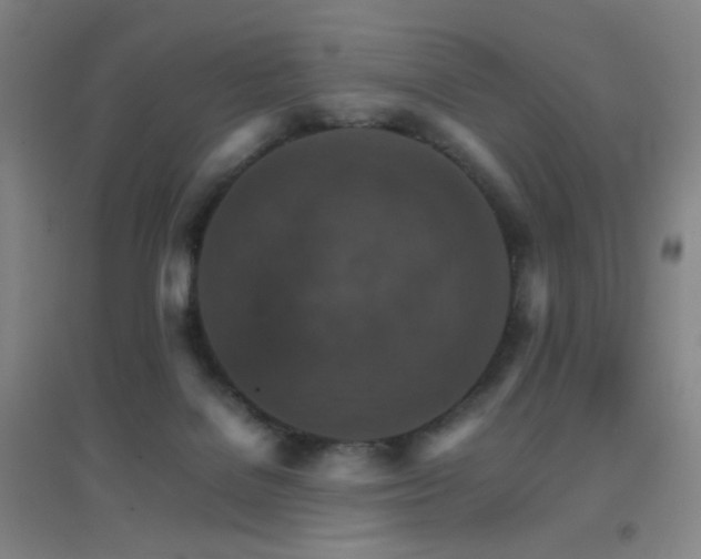 X0000096700076200802051421