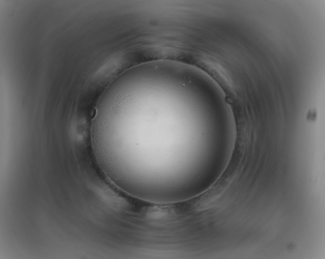X0000096700077200802051421