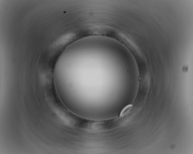 X0000096700078200802051421