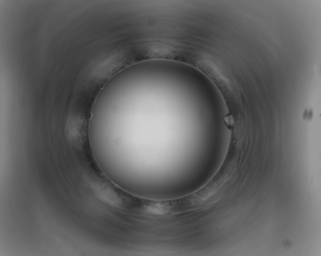 X0000096700079200802051421